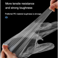 Biglotstore Disposable Food Gloves - Image 4