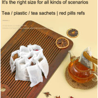 Biglotstore Loose Leaf Tea Bags 100 Pcs - Image 2
